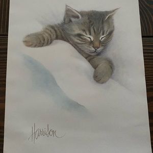 Vintage Gray sleeping Kitten Cat Print by Harrison